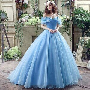 Cinderella Ball Gown!
